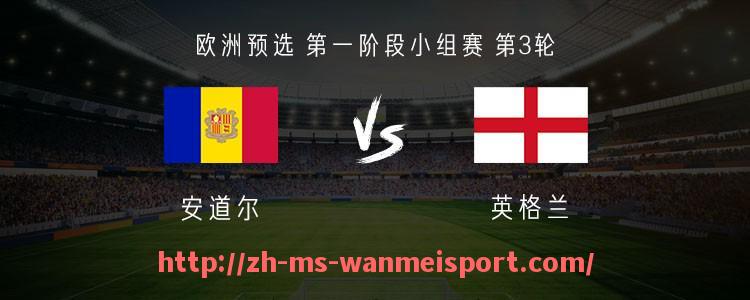 完美体育app-法甲球员统计分析报告：2024赛季个人数据大揭密